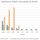 Image for article titled NOAA Investigates Surge in Dead Dolphins Along the Gulf Coast